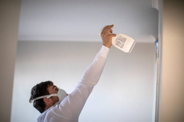 Best Mold Testing and Removal  in Alamo, CA