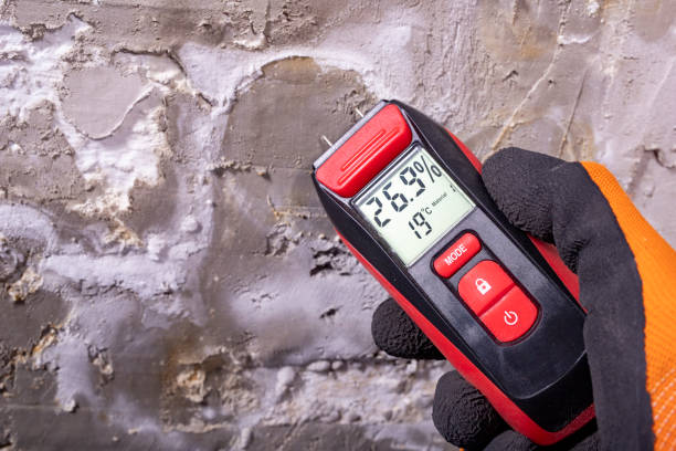 Best Mold Removal and Inspection  in Alamo, CA