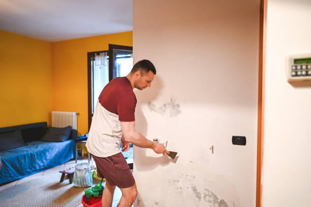 Best Certified Mold Removal  in Alamo, CA
